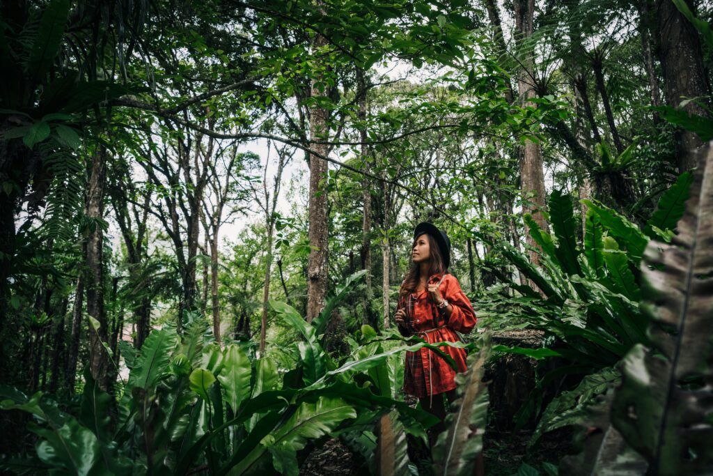 A woman in a red dress and hat stands amidst lush green tropical jungle, symbolizing adventure and nature.